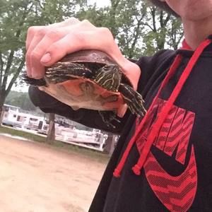 Meet your Posher, Cody